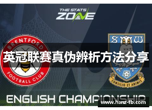 英冠联赛真伪辨析方法分享