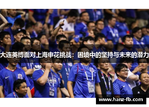 大连英博面对上海申花挑战：困境中的坚持与未来的潜力